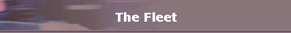 The Fleet